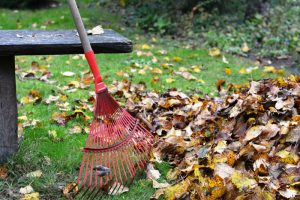 Urejanje okolice in čiščenje listja